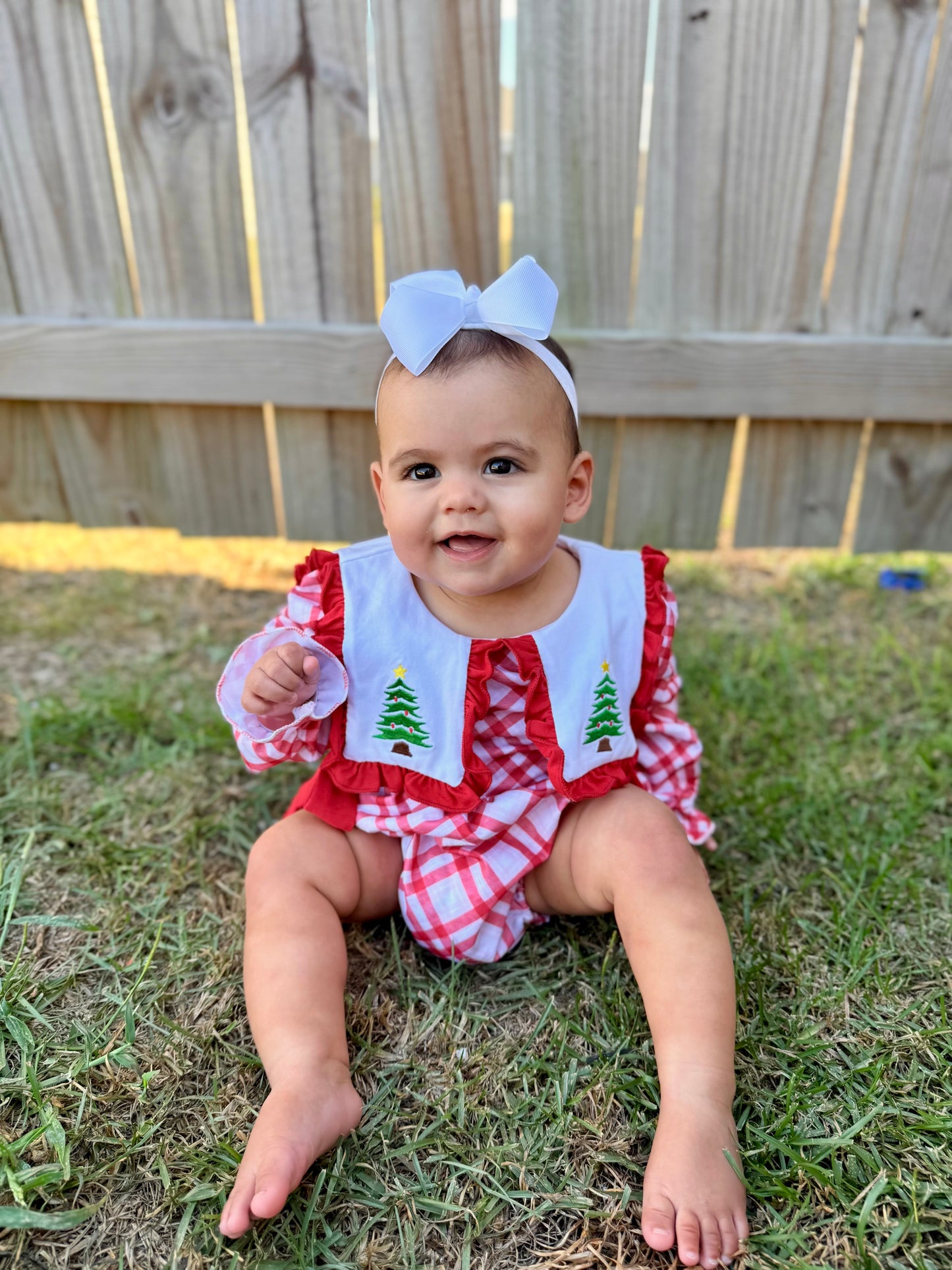 Christmas Trees & Red Bows Bubble